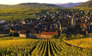 Experiencia en Guebwiller con vinos, gastronomía y naturaleza en Alsacia